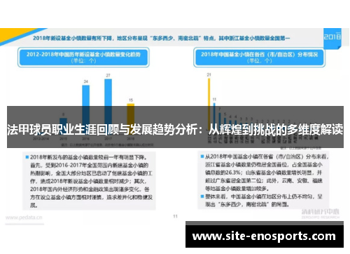 法甲球员职业生涯回顾与发展趋势分析：从辉煌到挑战的多维度解读