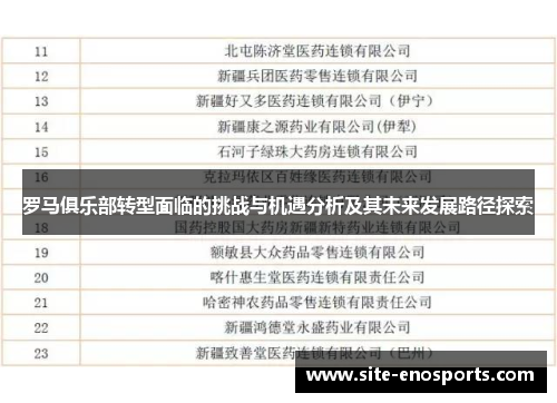罗马俱乐部转型面临的挑战与机遇分析及其未来发展路径探索