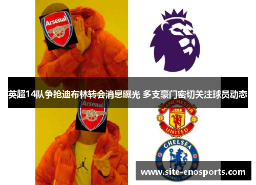 英超14队争抢迪布林转会消息曝光 多支豪门密切关注球员动态