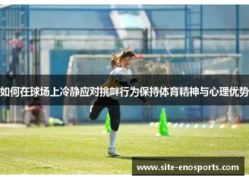 如何在球场上冷静应对挑衅行为保持体育精神与心理优势