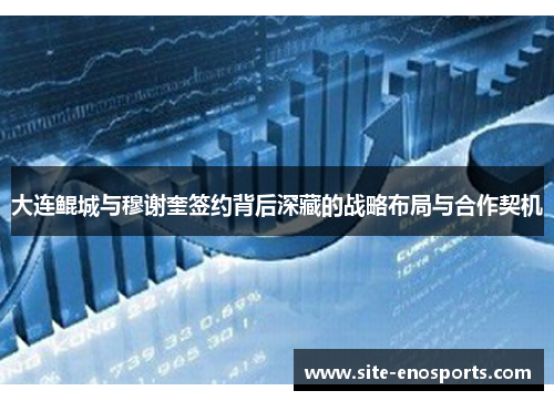 大连鲲城与穆谢奎签约背后深藏的战略布局与合作契机