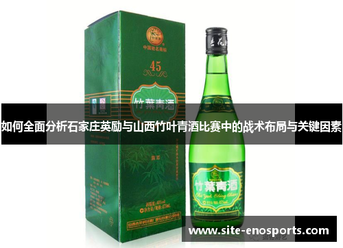 如何全面分析石家庄英励与山西竹叶青酒比赛中的战术布局与关键因素