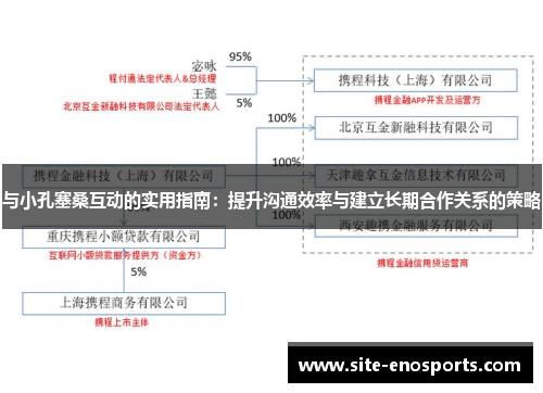 与小孔塞桑互动的实用指南：提升沟通效率与建立长期合作关系的策略