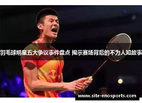 羽毛球明星五大争议事件盘点 揭示赛场背后的不为人知故事