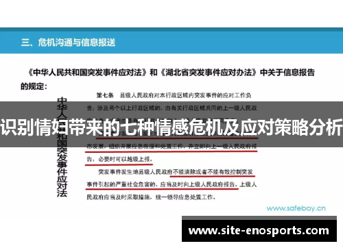 识别情妇带来的七种情感危机及应对策略分析