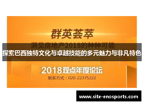 探索巴西独特文化与卓越技能的多元魅力与非凡特色