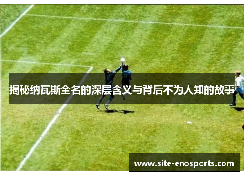 揭秘纳瓦斯全名的深层含义与背后不为人知的故事